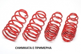 Спортни пружини
